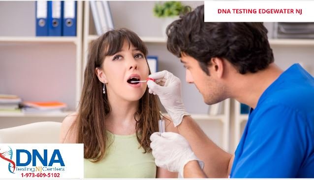 DNA Paternity Test Edgewater , NJ