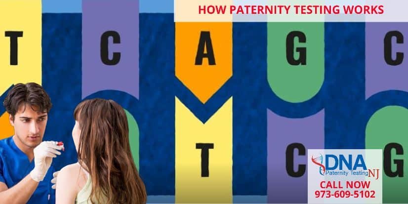 How Paternity Testing Works In NJ | Legal & Home DNA Tests